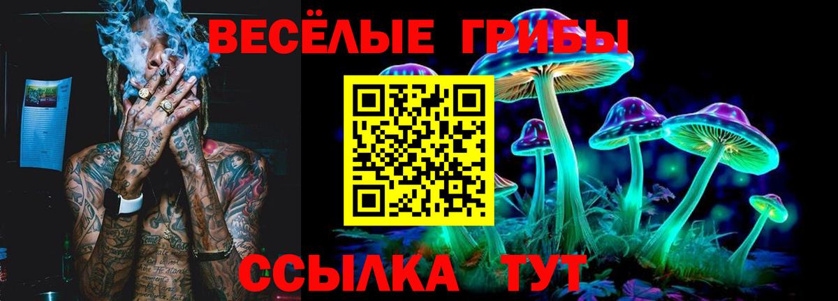 Галлюциногенные грибы прущие грибы Черняховск